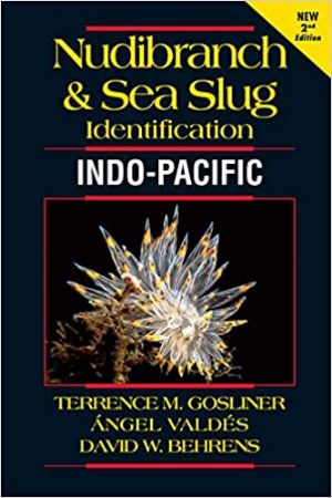 nudibranch-seaslug-identification-web