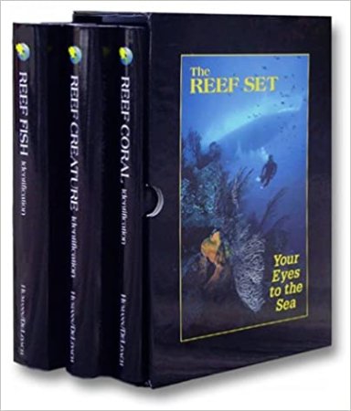 the-reef-set-web